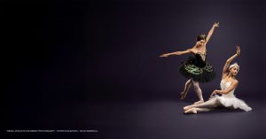 Swan Lake