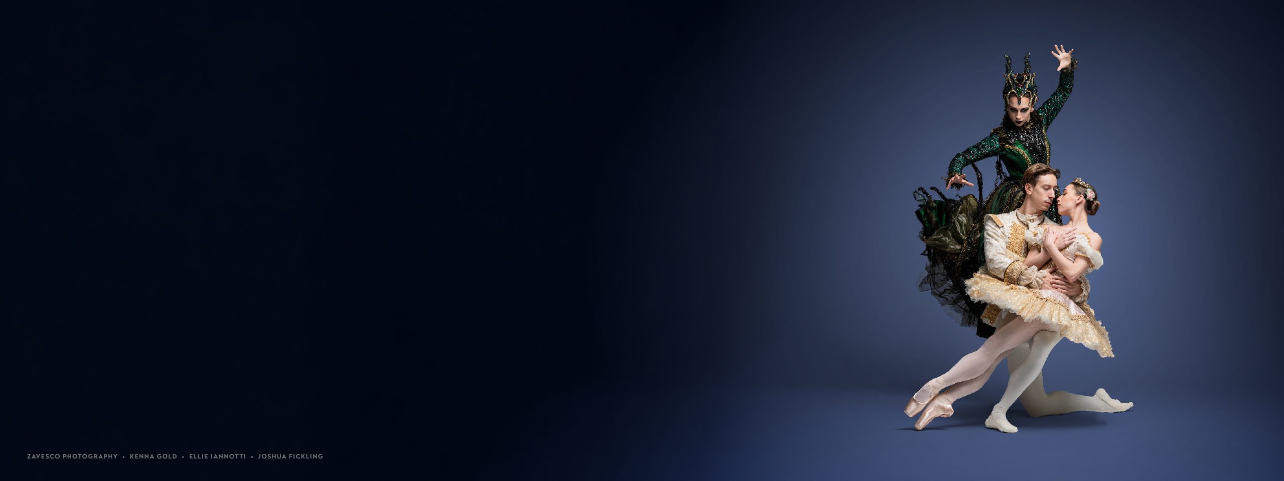 The Sleeping Beauty promotional banner
